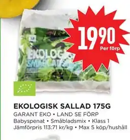 Willys Hemma EKOLOGISK SALLAD 175G erbjuda
