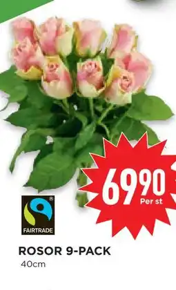 Willys Hemma ROSOR 9-PACK erbjuda