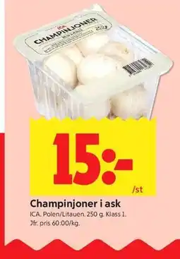 ICA Kvantum Champinjoner i ask erbjuda