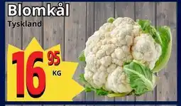 Supergrossen Blomkål erbjuda