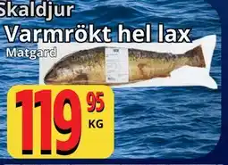Supergrossen Varmrökt hel lax erbjuda