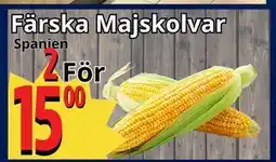 Supergrossen Färska Majskolvar erbjuda