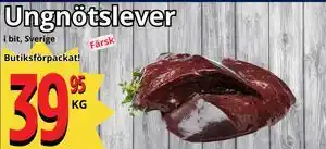Supergrossen Ungnötslever erbjuda