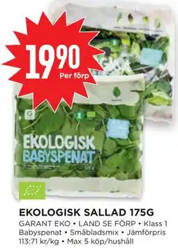 Willys EKOLOGISK SALLAD 175G erbjuda