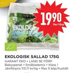 Willys EKOLIGISK SALLAD 175G erbjuda