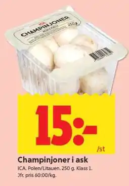 ICA Supermarket CHAMPINJONER I ASK erbjuda