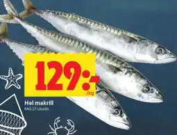 ICA Supermarket Hel Makrill erbjuda