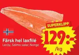 Nya Pulsen Färsk hel laxfilé erbjuda
