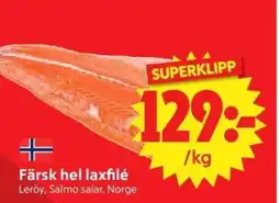 Nya Pulsen Färsk hel laxfilé erbjuda