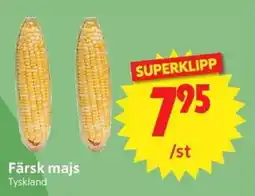 Nya Pulsen Färsk majs erbjuda
