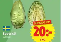 Nya Pulsen Spetskål erbjuda
