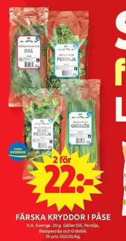 ICA Maxi Färska kryddor i påse erbjuda