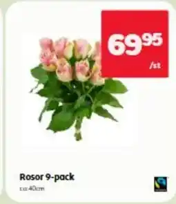 Hemköp Rosor 9-pack erbjuda