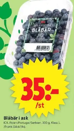 ICA Supermarket Blåbär i ask erbjuda