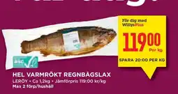 Willys HEL VARMRÖKT REGNBÅGSLAX erbjuda