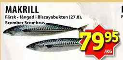 Matvärlden Tensta MAKRILL erbjuda