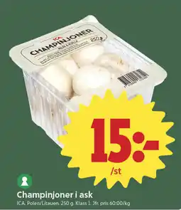 ICA Nära Champinjoner i ask erbjuda