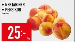 Matdax Nektariner • persikor erbjuda
