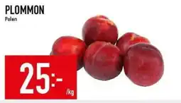 Matdax Plommon erbjuda