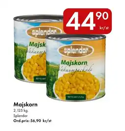 Snabbgross Splendor Majskorn erbjuda