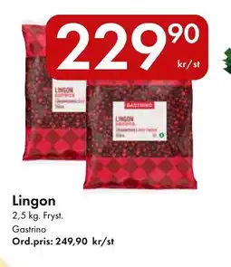 Snabbgross Gastrino Lingon erbjuda