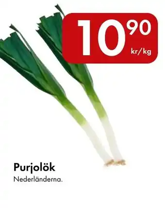 Purjolök