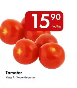 Snabbgross Tomater erbjuda