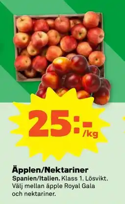 Stora Coop Äpplen/Nektariner erbjuda