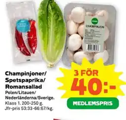Stora Coop Champinjoner/ Spetspaprika/ Romansallad, Medlemspris erbjuda