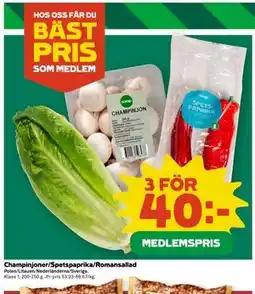 Coop Champinjoner/Spetspaprika/Romansallad, Medlemspris erbjuda