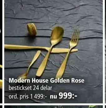Modern House Golden Rose