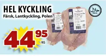 Hel kyckling