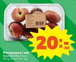 Coop Forum Paraguayos i ask erbjuda