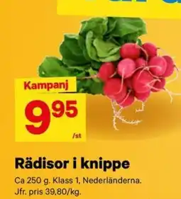 City Gross Rädisor i knippe erbjuda