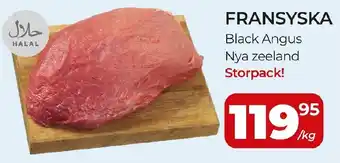 FRANSYSKA Black Angus