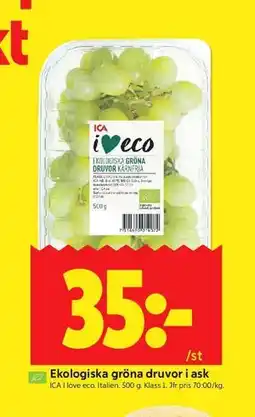 ICA Kvantum Ekologiska gröna druvor i ask erbjuda