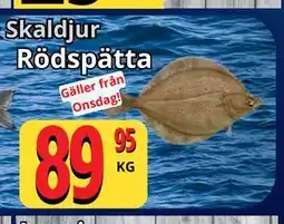 Supergrossen Rödspätta erbjuda
