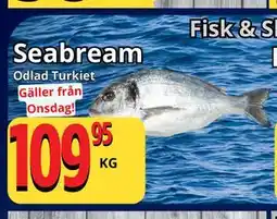 Supergrossen Seabream erbjuda