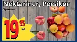 Supergrossen Nektariner, Persikor erbjuda