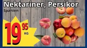 Supergrossen Nektariner, Persikor erbjuda