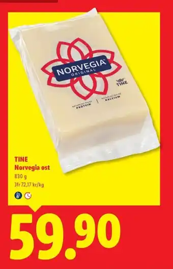Tine norvegia ost