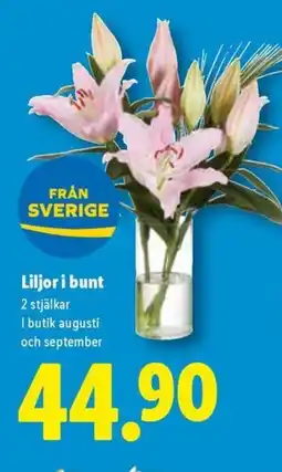 Lidl Liljor i bunt erbjuda