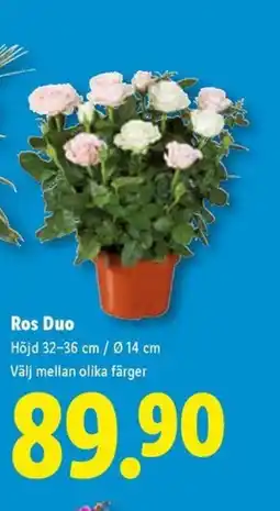 Lidl Ros Duo erbjuda
