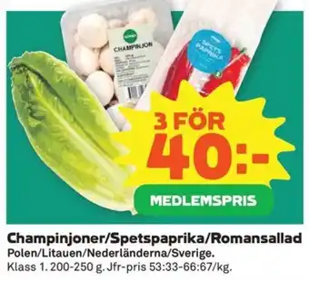 Champinjoner/Spetspaprika/Romansallad