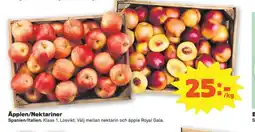 Coop Konsum Äpplen/Nektariner erbjuda