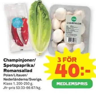 Champinjoner/ Spetspaprika/ Romansallad
