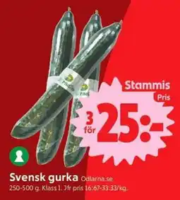 ICA Supermarket Svensk gurka erbjuda