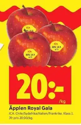 ÄPPLEN ROYAL GALA