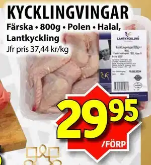 KYCKLINGVINGAR