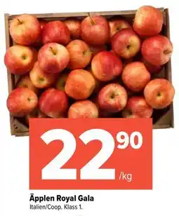 Coop Extra Äpplen Royal Gala erbjuda